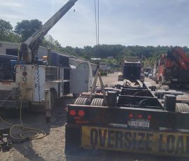 Photo Gallery 468871509 10160878971850765 8838989847039020458 n